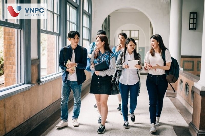 KING88 là nhà cái giải trí đỉnh cao Hàn Quốc vừa học vừa làm: Điều kiện, chi phí và quy trình